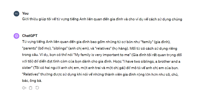 Prompt mẫu cung cấp từ vựng, giải thích và cho ví dụ